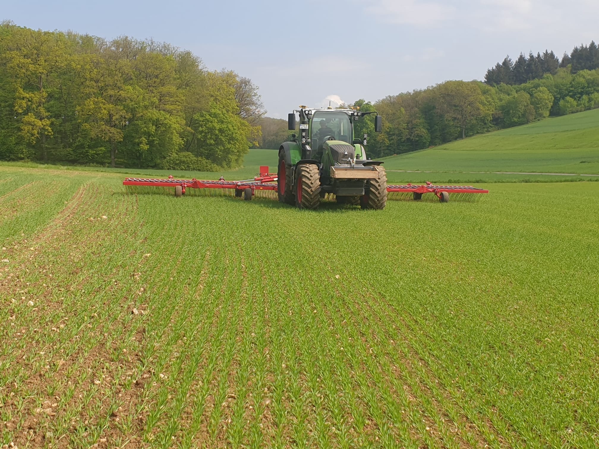 Ein Traktor beim Striegeln: Der Striegeleinsatz ist im ökologischen Landbau eine Standardmaßnahme.