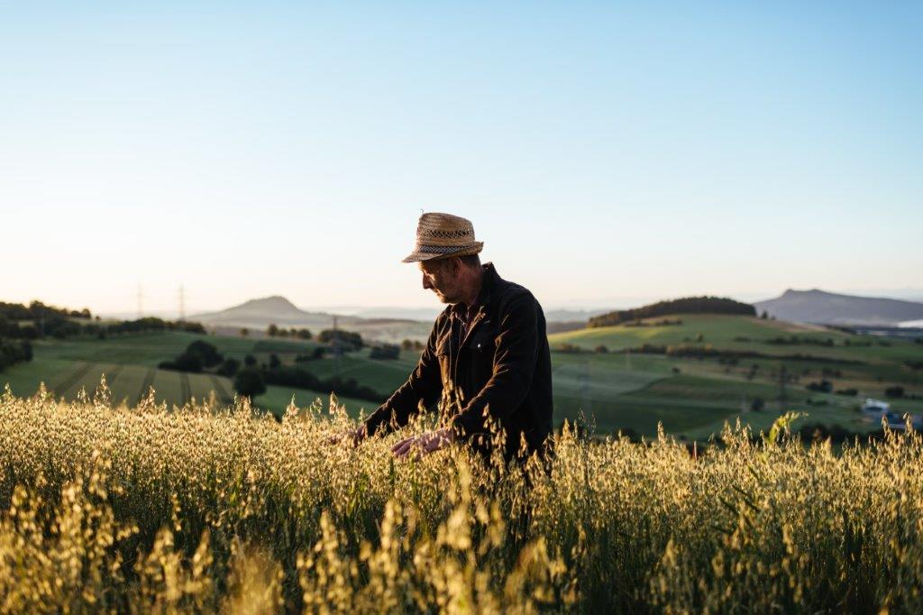 Bauer steht im Kornfeld und streicht über die Pflanzen. Im Hintergrund die hügelige Landschaft des Hegau.,au.