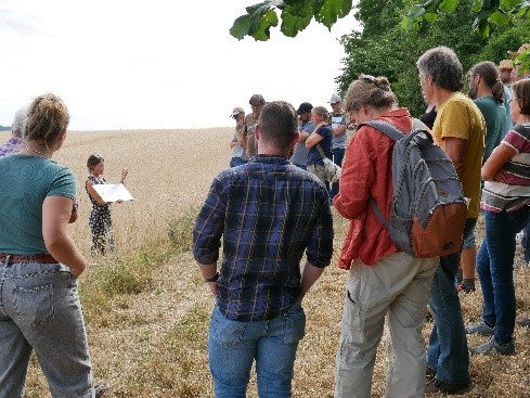 Dr. Julia Walter erklärt die Vorteile einer Untersaat für die Biodiversität.