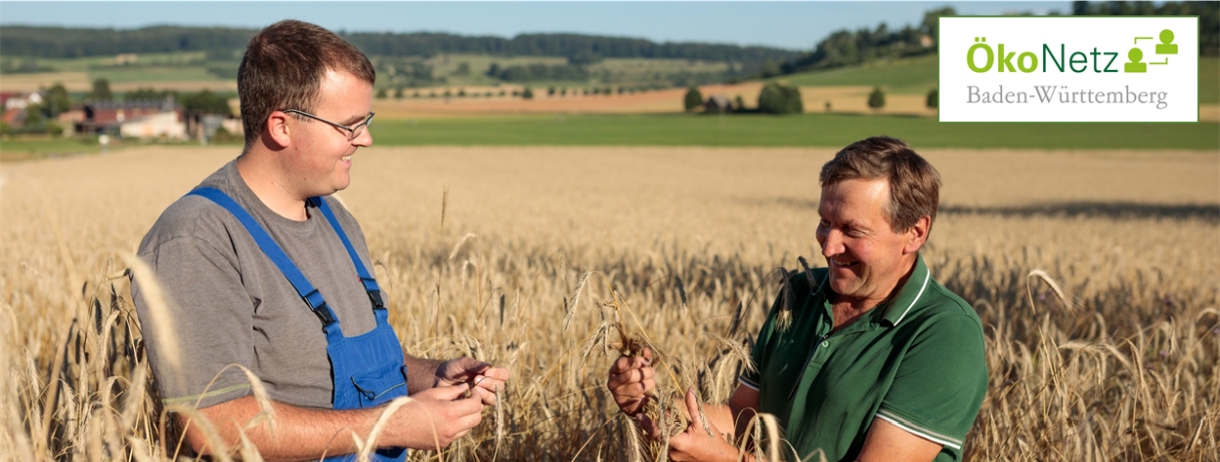 Zwei Landwirte im Gespräch im Getreidefeld