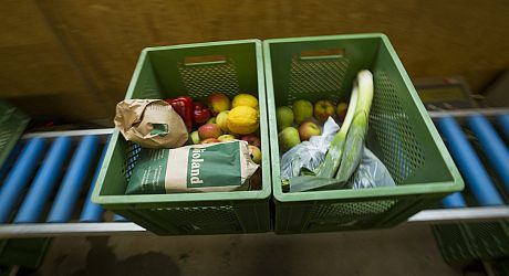 fertig gepackte Ökokisten