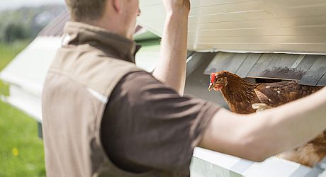 Landwirt mit Huhn