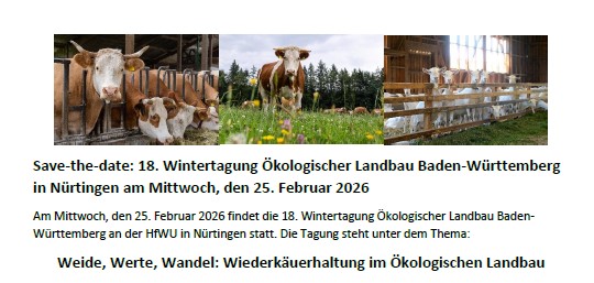 Save-the-date Wintertagung