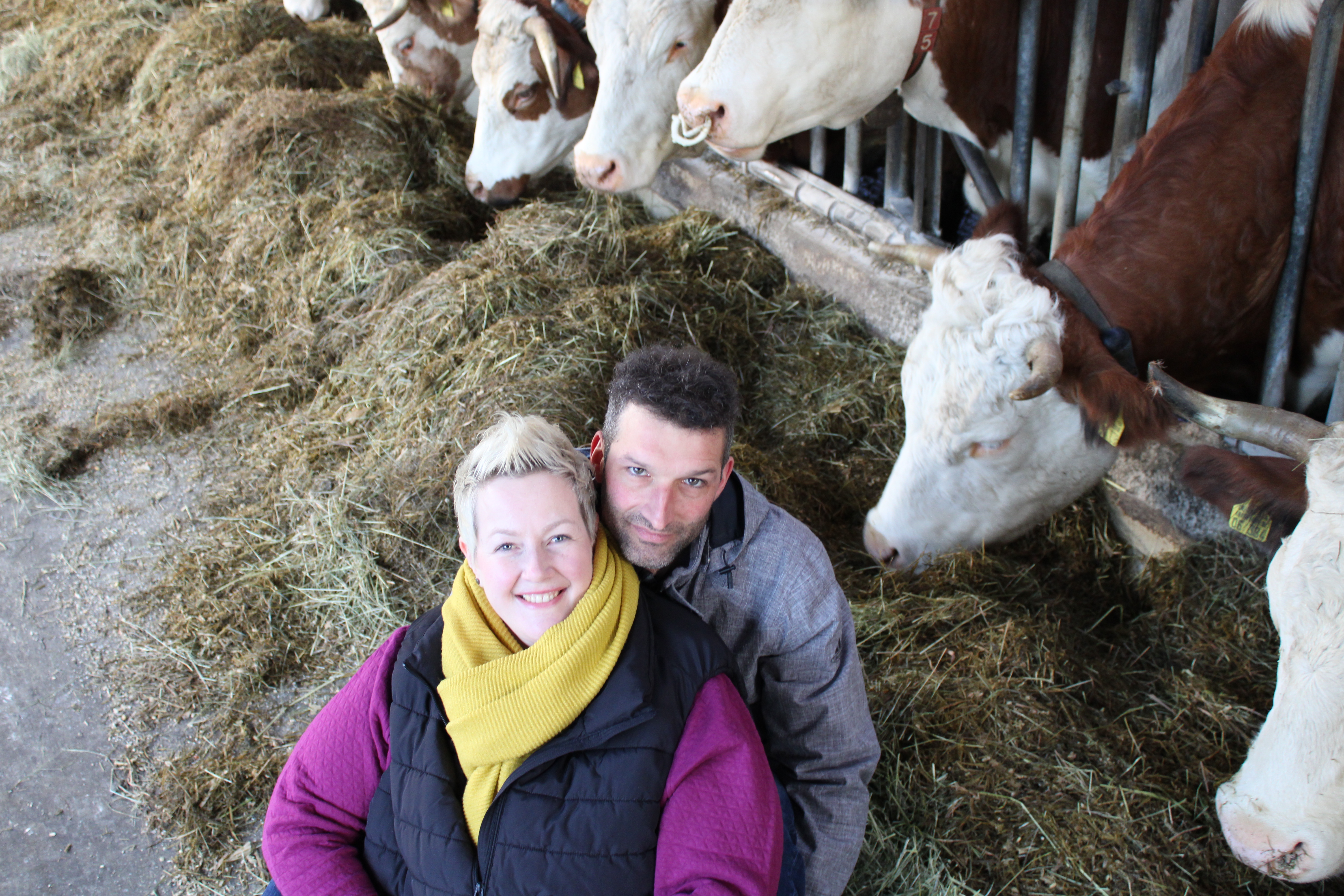 Das Ehepaar Bohner wird in ihrem fortschrittlichen Kompoststall mit Kühen gezeigt.