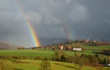  Ökologisch bewirtscha­ftete Betriebsflächen der Staatsdomäne Emmendingen-Hochburg (im Hintergrund die Runie Hochburg)