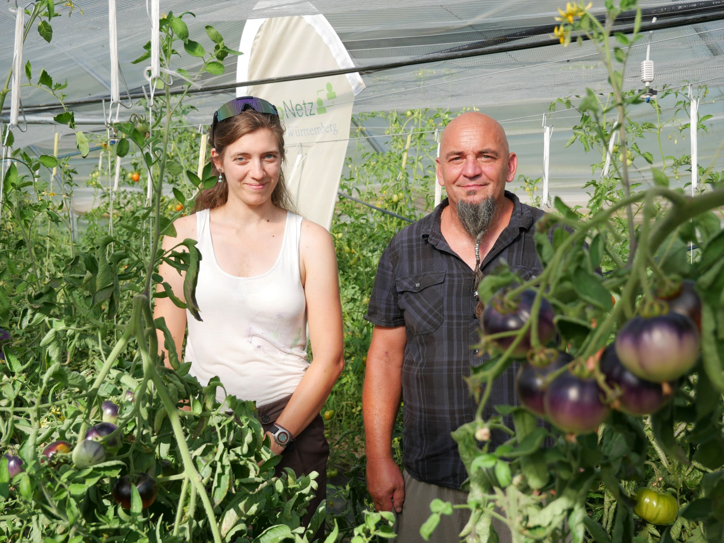 Sven Wilhelm und die Koordinatorin des ÖkoNetzBW im Tomatengewächshaus