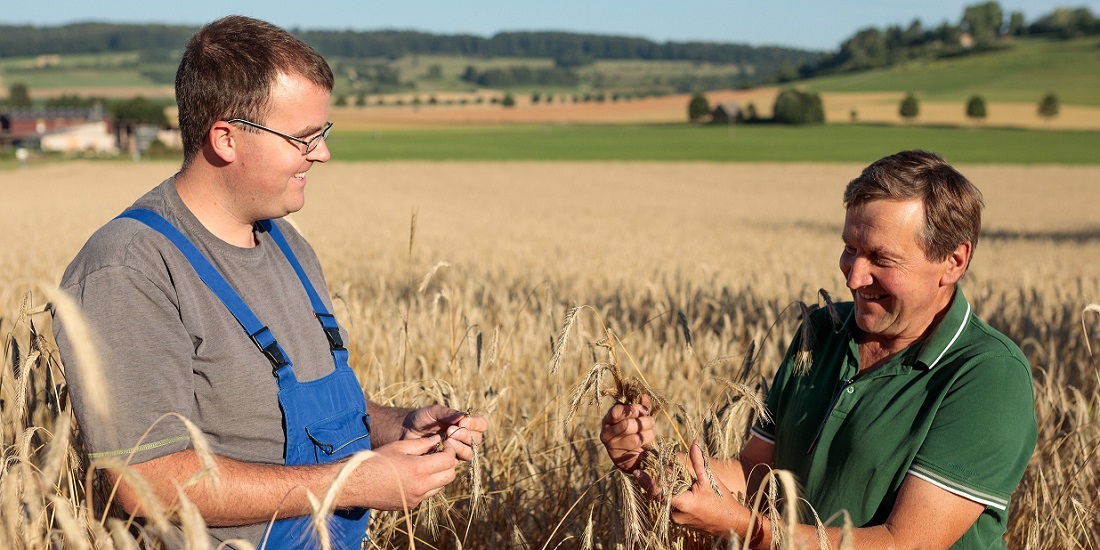 Zwei Landwirte in einem Getreide-Feld in Konversation