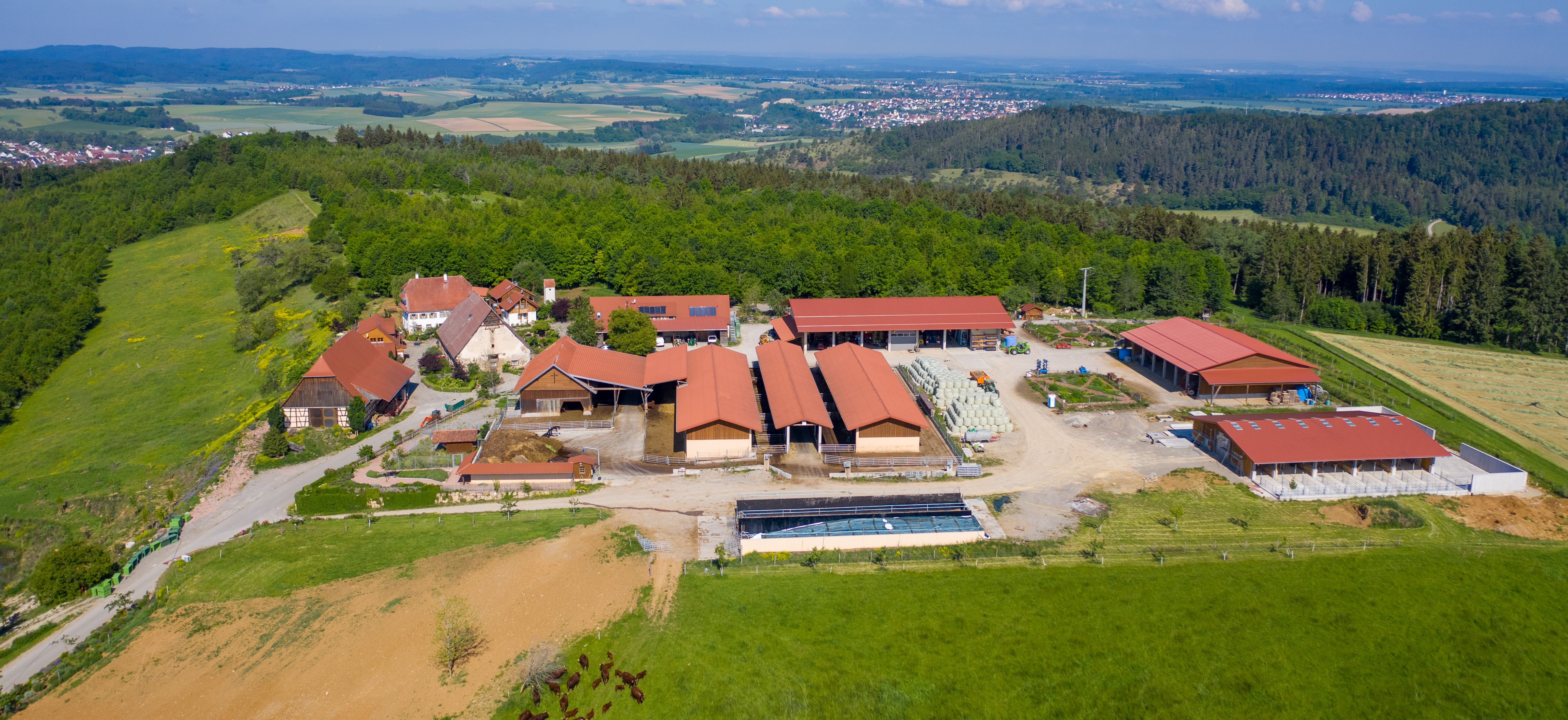 Domäne Homburger Hof von Oben aus Süd Westen