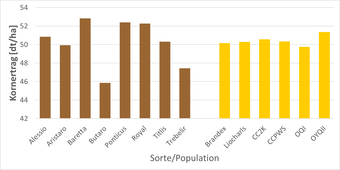 Kornertrag der der Sorten (links) und heterogenen Populationen (rechts). (3 jährige Ergebnisse von 5 (2018) und 6 (2019 und 2020) Standorten) Kornertrag der der Sorten (links) und heterogenen Populationen (rechts). (3 jährige Ergebnisse von 5 (2018) und 6 (2019 und 2020) Standorten)