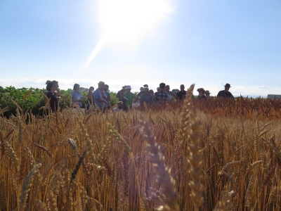 Besuchergruppe. Foto: C. Schumann/LTZ Besuchergruppe. Foto: C. Schumann/LTZ