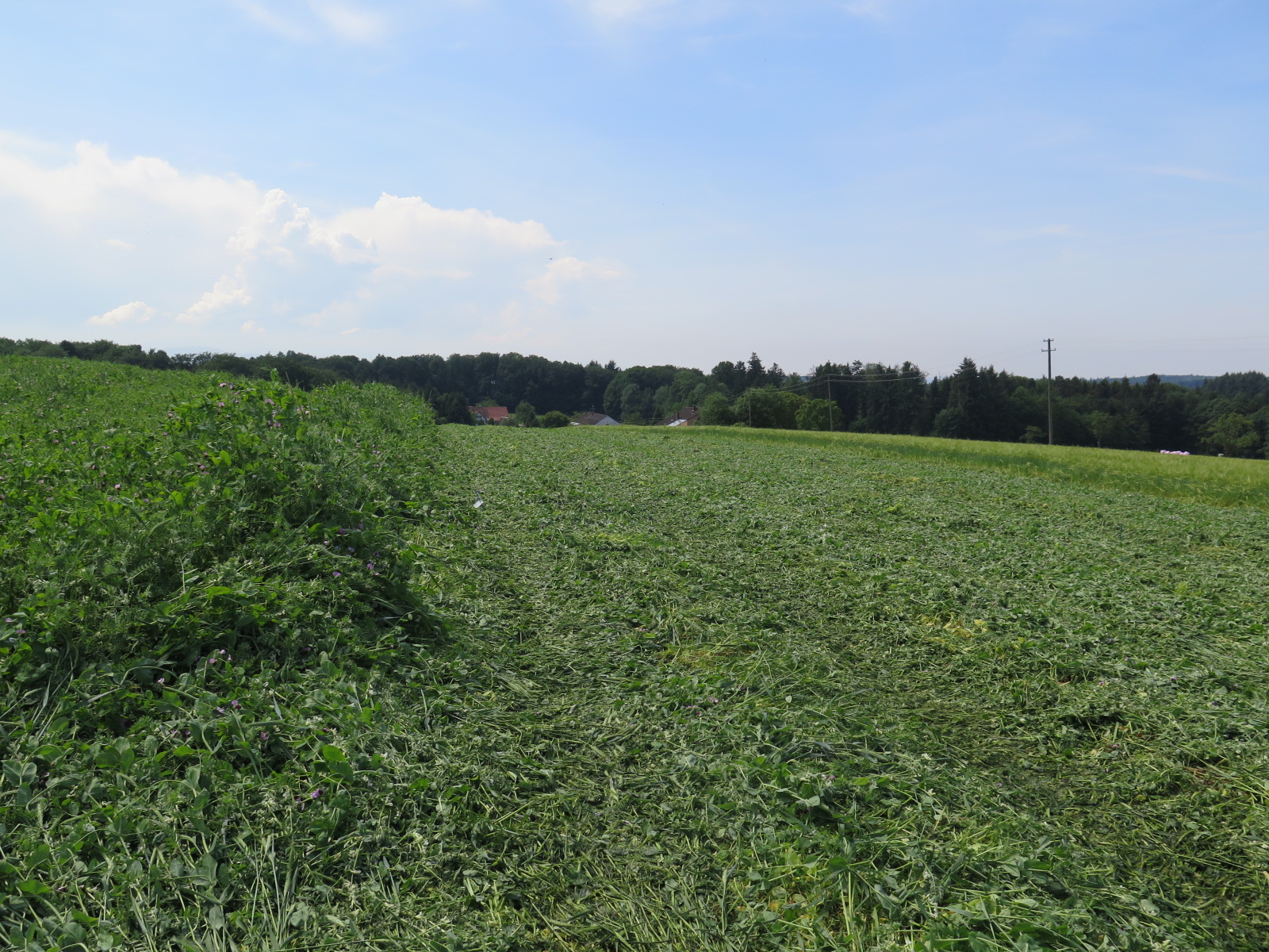 Foto: K.Kößler - LTZ