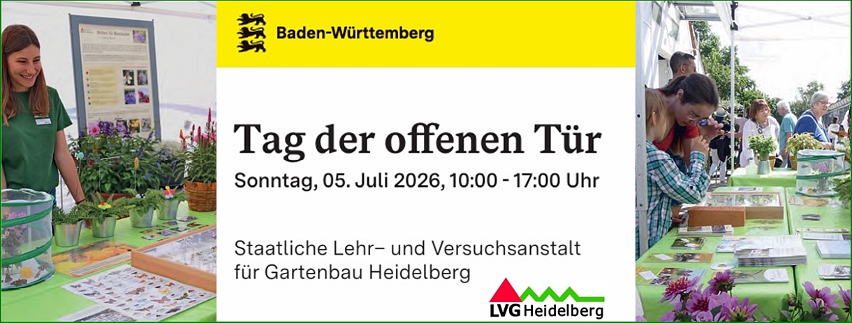 Einladungsplakat zum Tag der offenenTür am 5.Juli 26 an der LVG Heidelberg