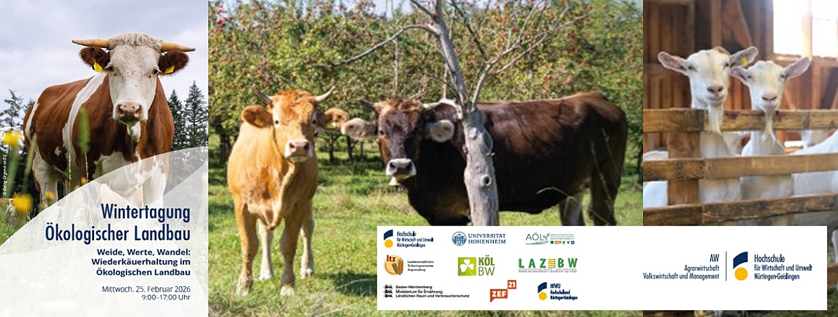Einladungsflyer z8ur Wintertagung Ökolandbauues  neu aufgelegt