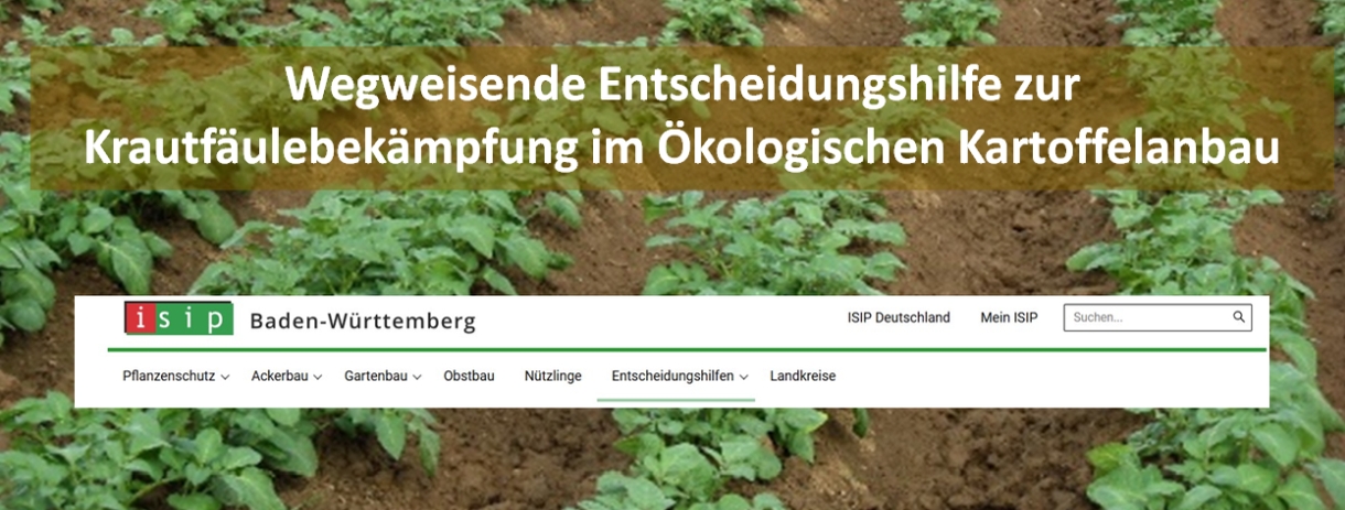 Plakat mit Schrifzug 
