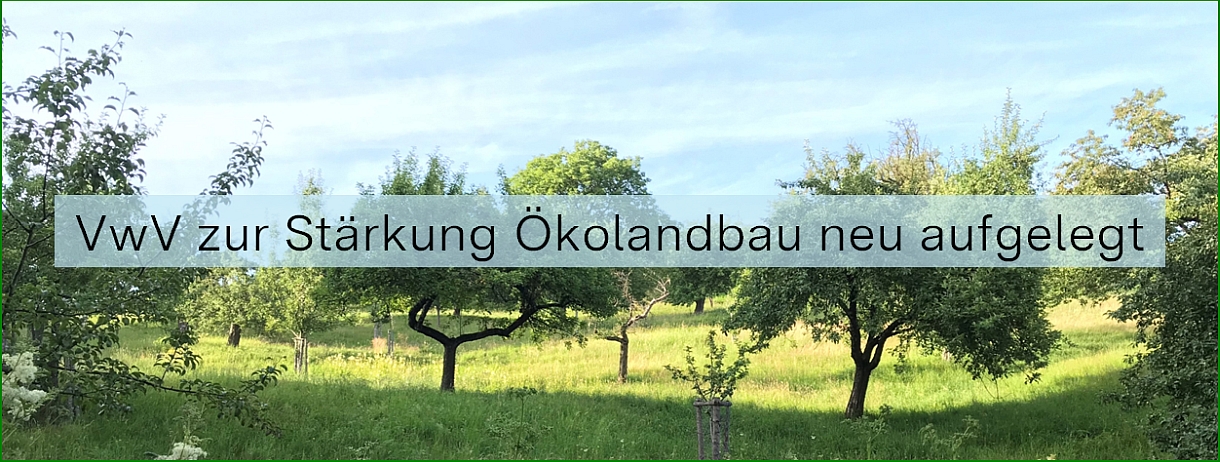 Bild einer Streuobstwiese mit Schriftzug 