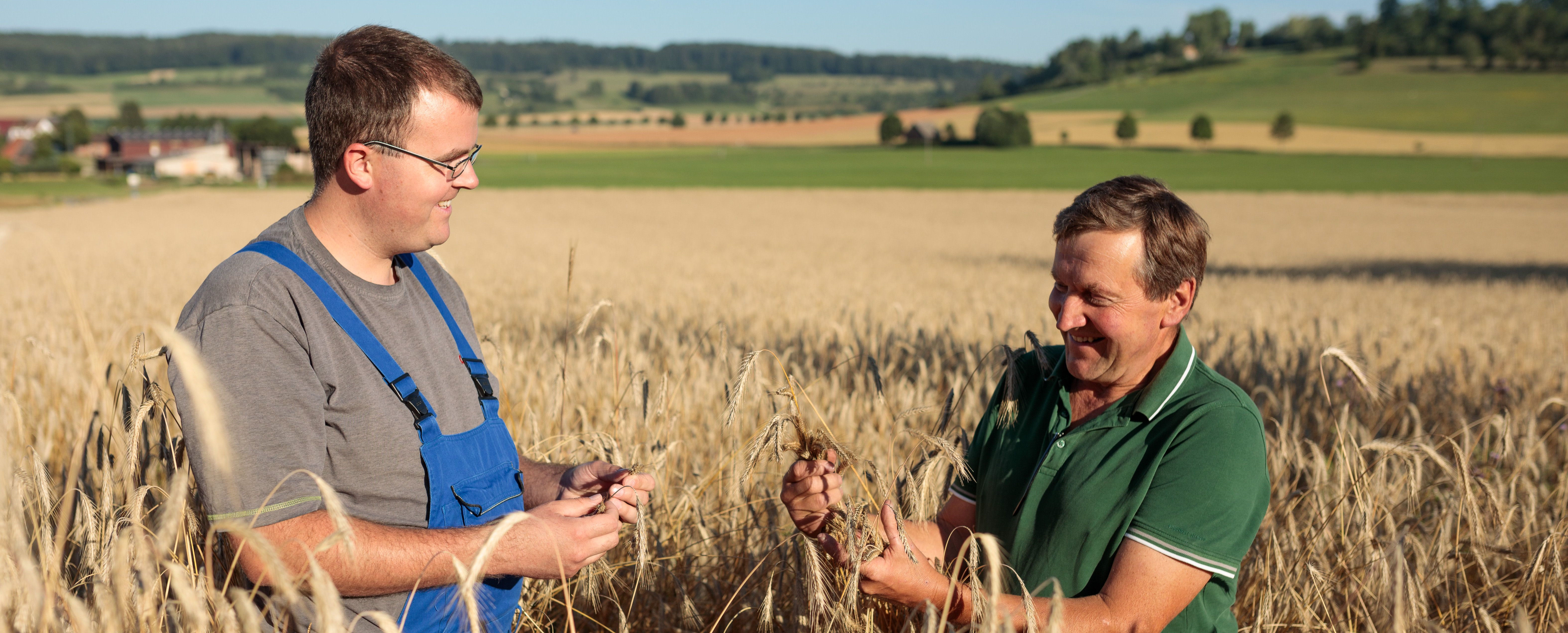 Zwei Landwirte bei Konversation im Getreidefeld