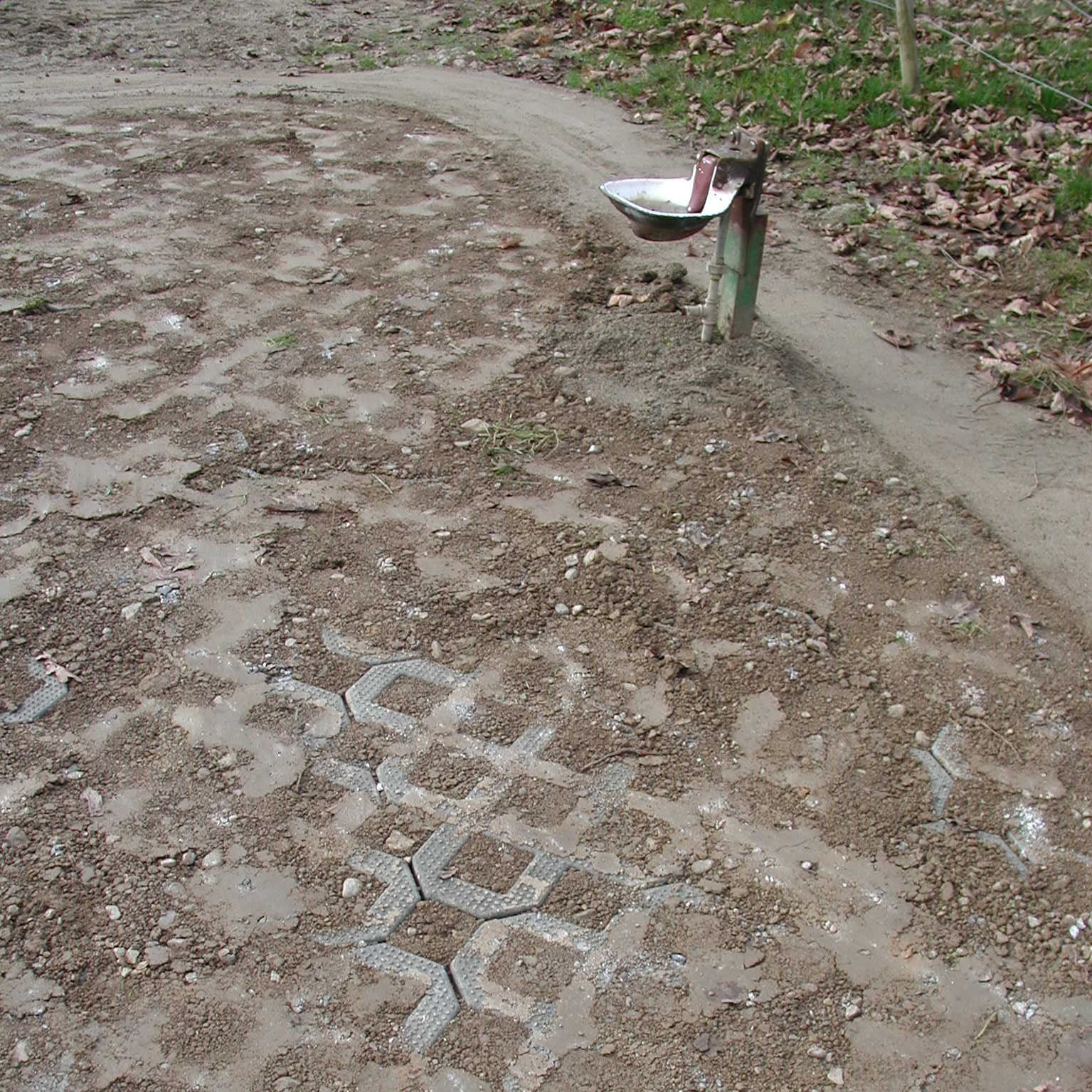 Befestigung des Tränkeplatzes mit Kunststoffgitter.