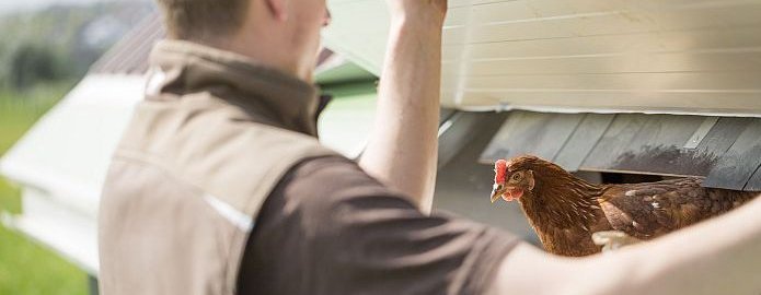 Bauer mit Huhn