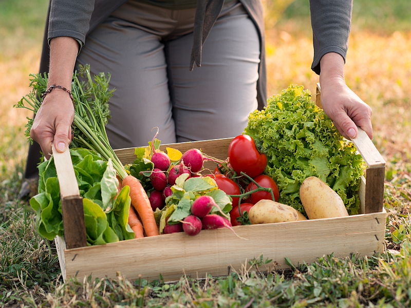 Kiste mit Gemüse frisch vom Acker
