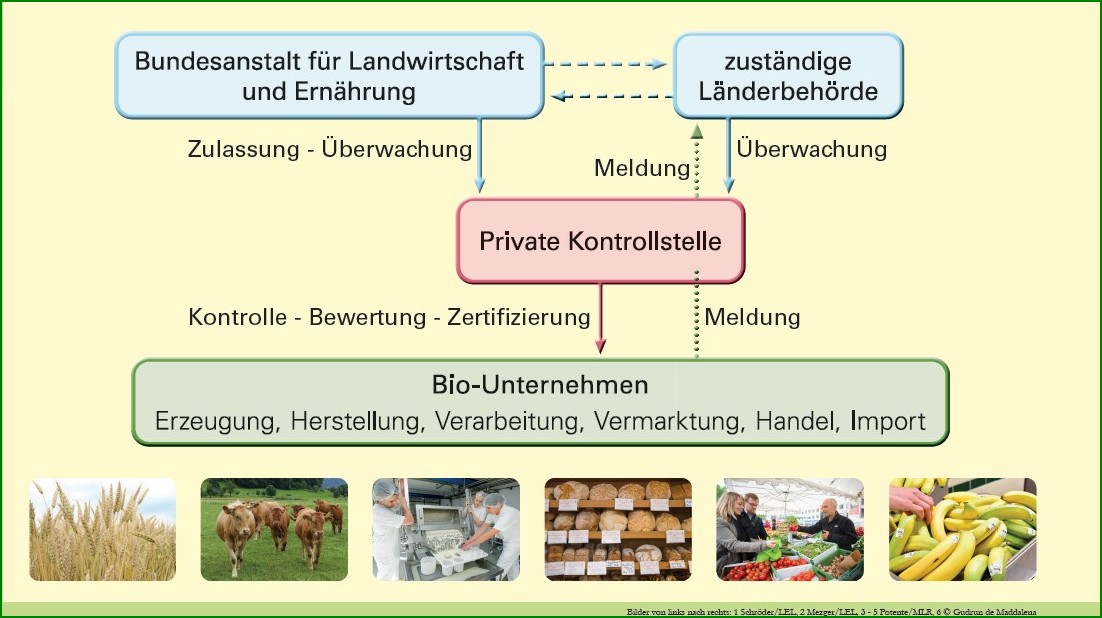 Schemata der Kontrollzuständigkeiten