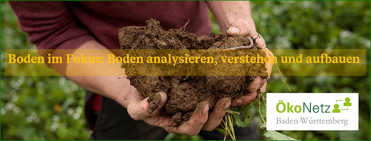 Hand gefüllt mit humoser Erde und Ökonetzlogo