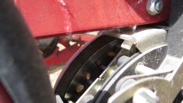 Foto einer Lochscheibe bei der Aussaat. Auf der Lochscheibe sind die angesaugten Samen von Mais und Bohne zu sehen.