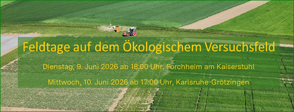 Symbolbild - Einladung Feldtage auf dem ökologischen Versuchsfeld