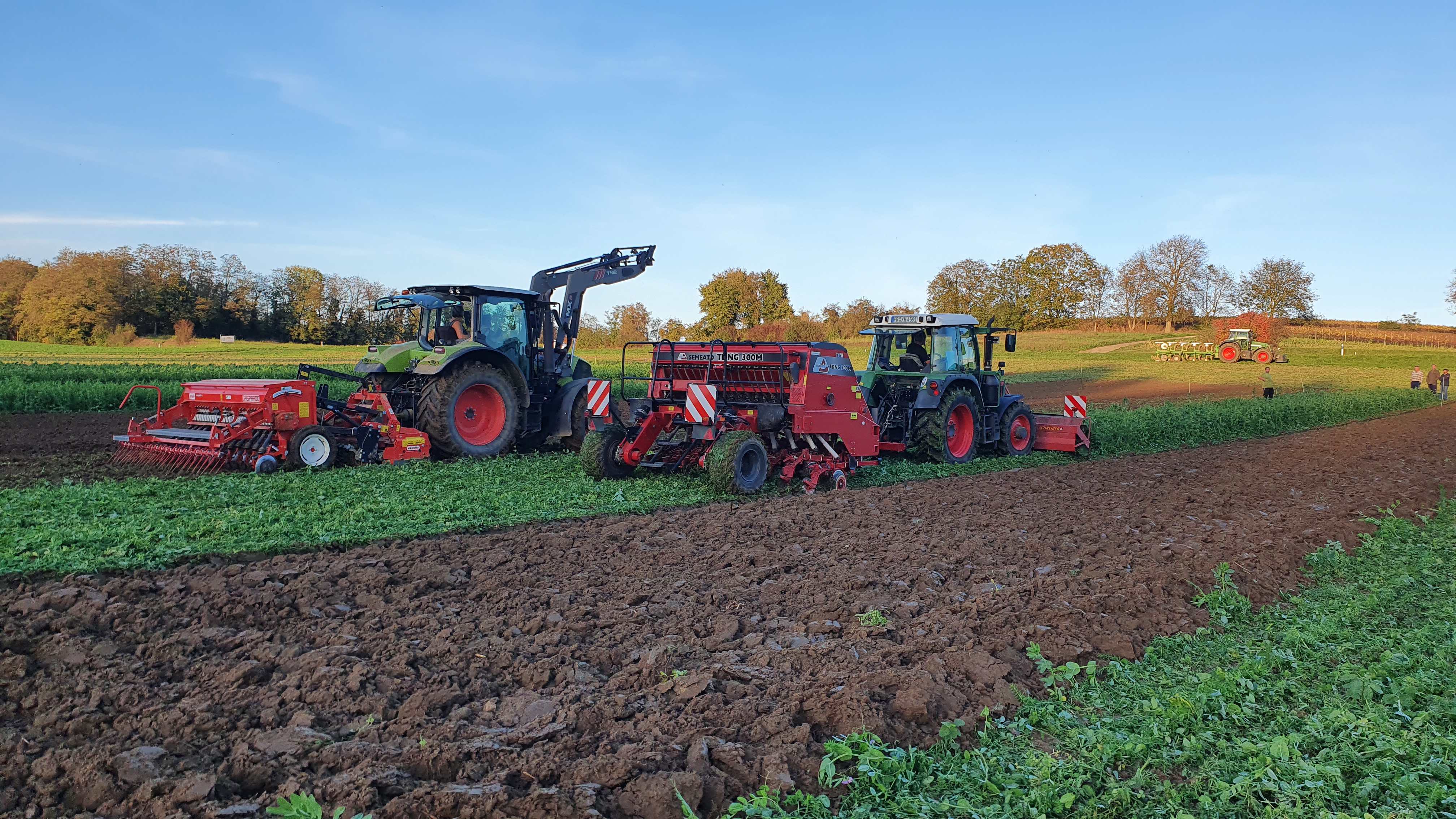 Weizen wird nebeneinander mit einer Direksaat- und Mulchsaatmaschine in die eingearbeitete Zwischenfrucht gesät.