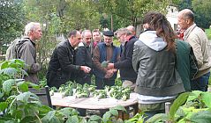 Brokkoli_Workshop Universität Hohenheim