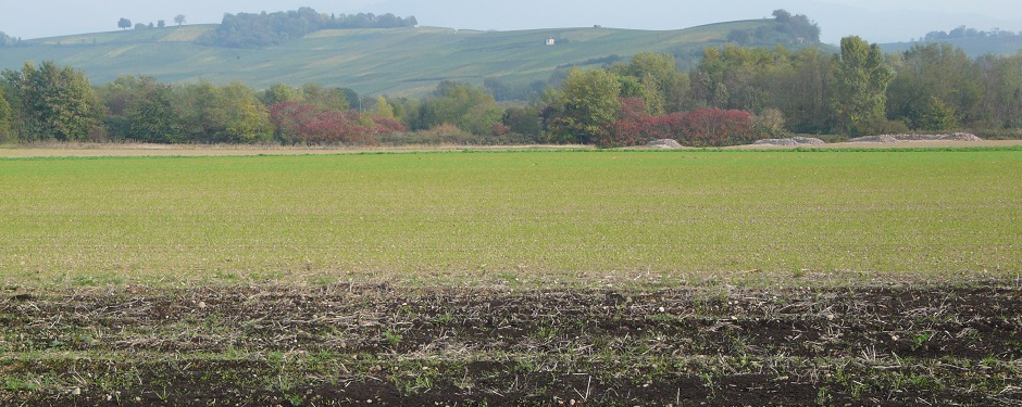 Kompost auf Versuchsfeld Hacher Weg