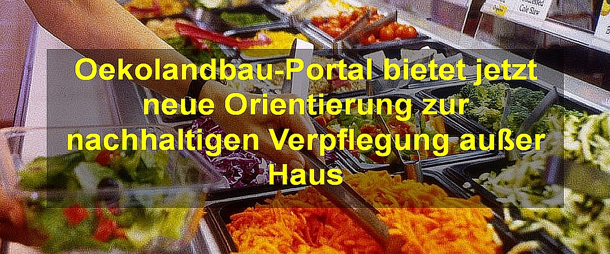 Bild einer Salatbar mit vorrangestelltem Titel-Text
