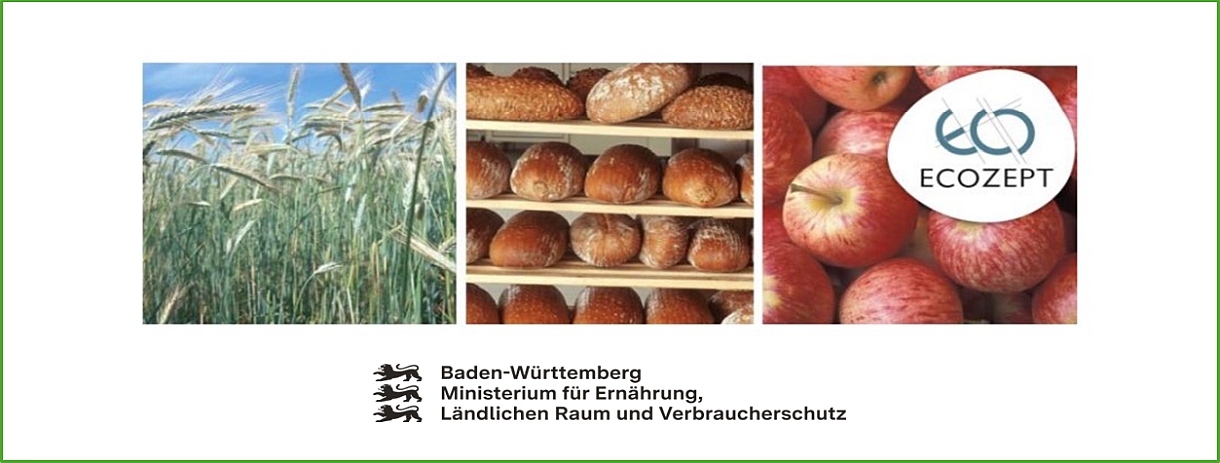 Titelblatt der Studie