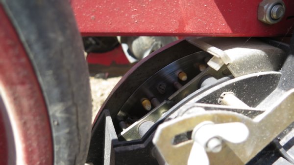 Foto einer Lochscheibe bei der Aussaat. Auf der Lochscheibe sind die angesaugten Samen von Mais und Kapuzinerkresse zu sehen.