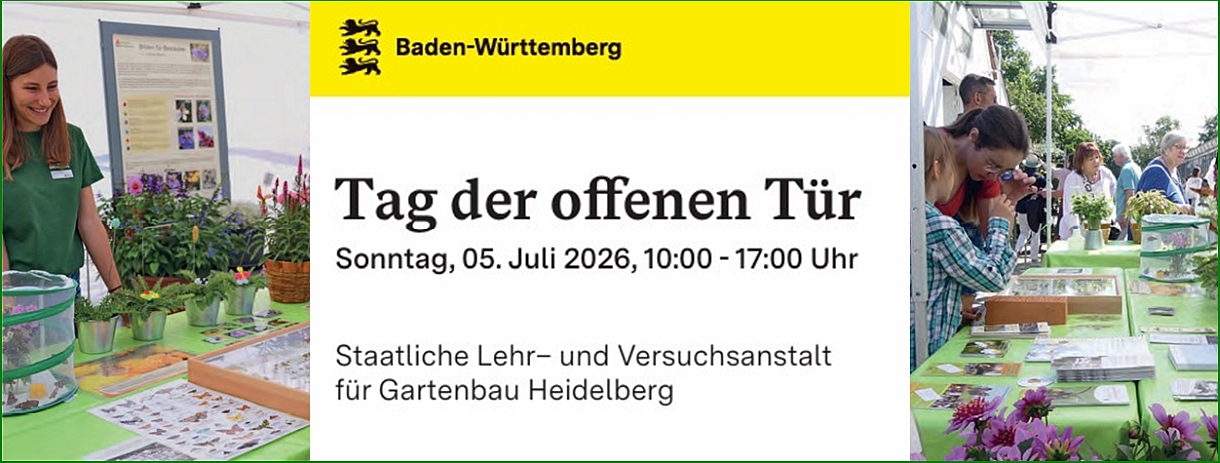 Einladungsplakat zum Tag der offenenTür am 5.Juli 26 an der LVG Heidelberg