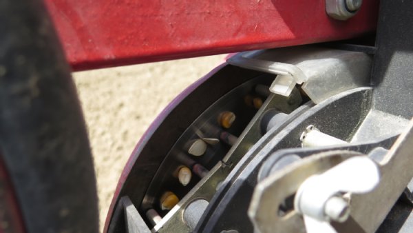 Foto einer Lochscheibe bei der Aussaat. Auf der Lochscheibe sind die angesaugten Samen von Mais und K&uuml;rbis zu sehen.