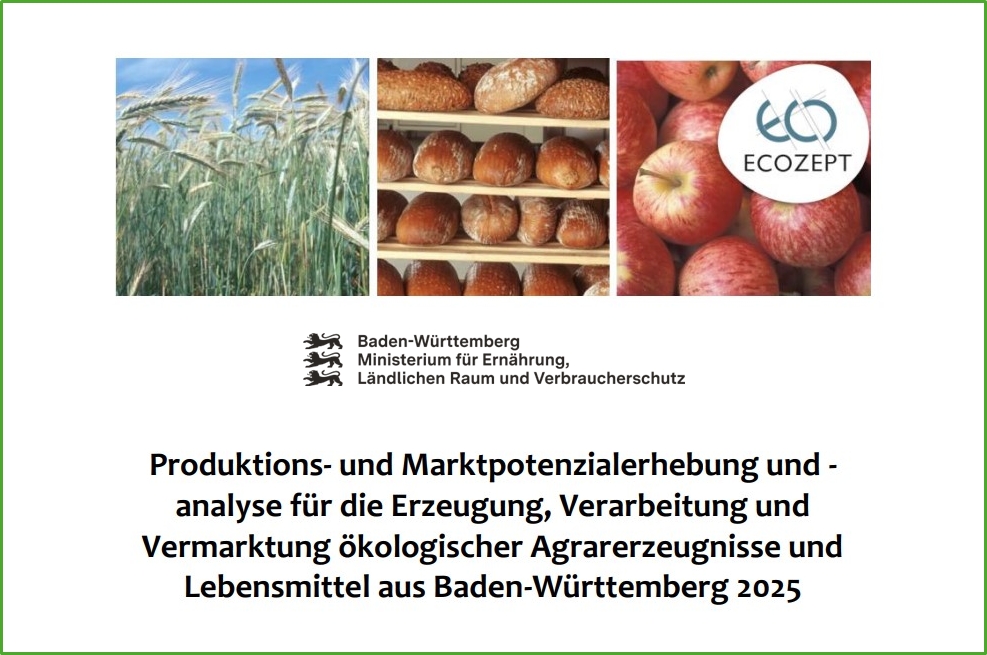 Titelblatt der Studie