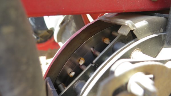 Foto einer Lochscheibe bei der Aussaat. Auf der Lochscheibe sind die angesaugten Samen von Mais und Sonnenblume zu sehen.