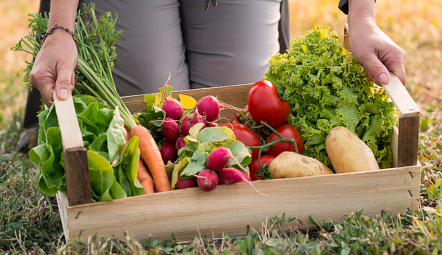 Holzkiste mit frisch geerntetem Gemüse