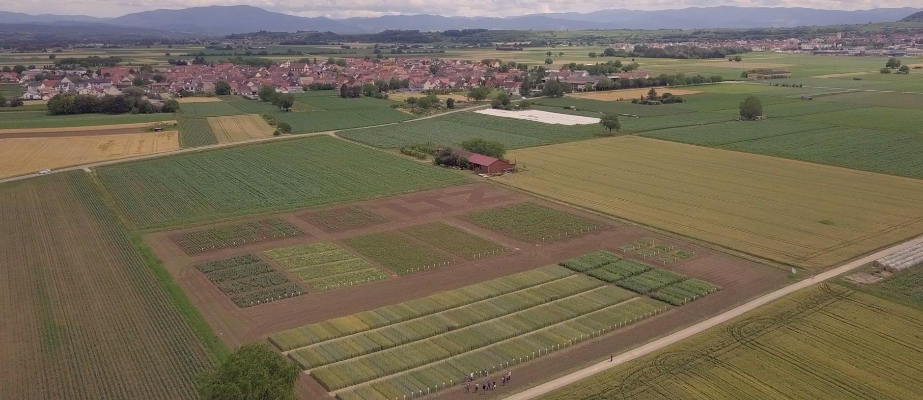 Forchheim am Kaiserstuhl