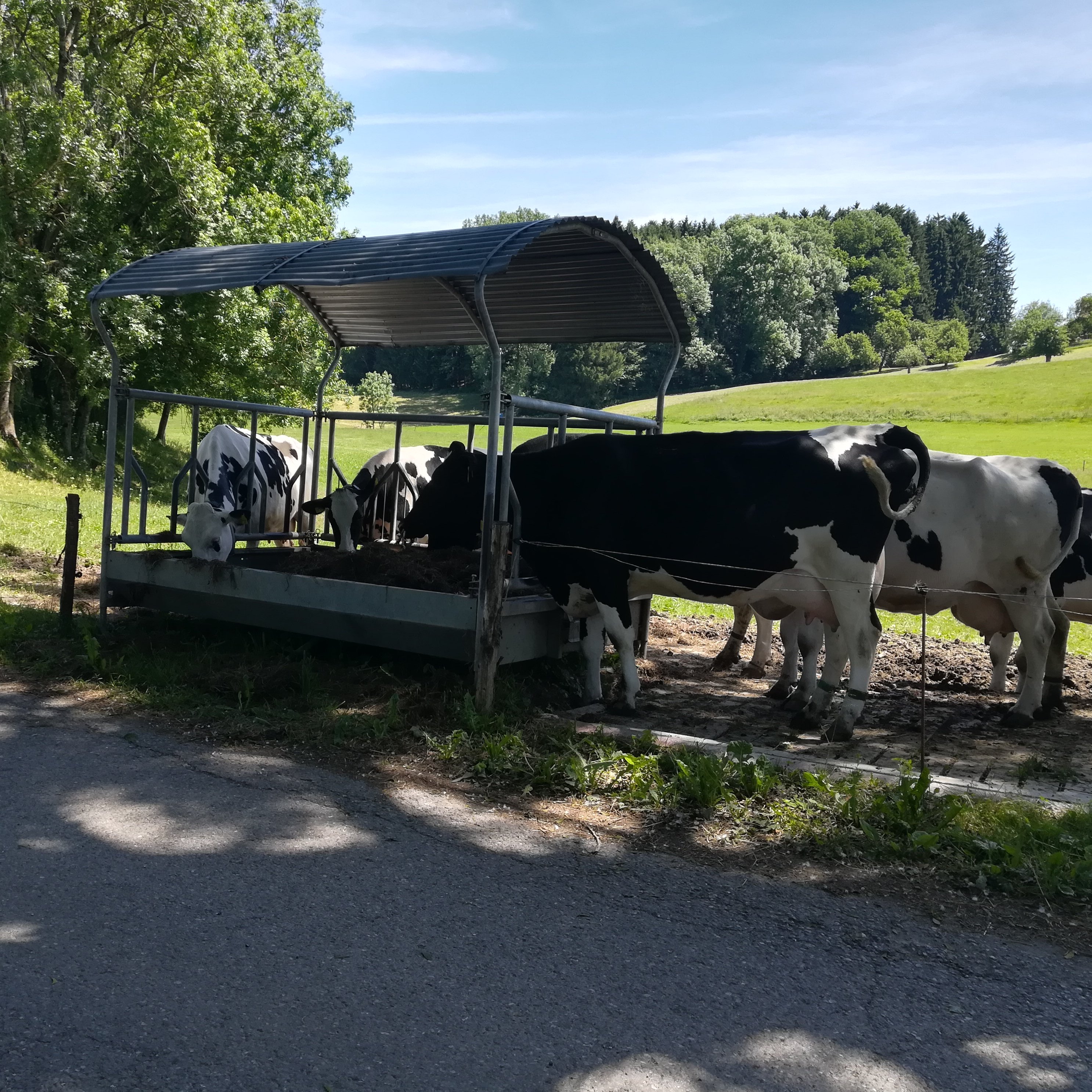 Futterraufe, die vom Weg aus befüllt werden kann.
