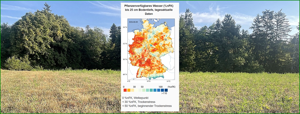 Bild zeigt Pflanzenverfügbares Wasser (%nFK) bis 25 cm Bodentiefe, Farbschema von rot 0 %nFK bis zu blau100%nFK