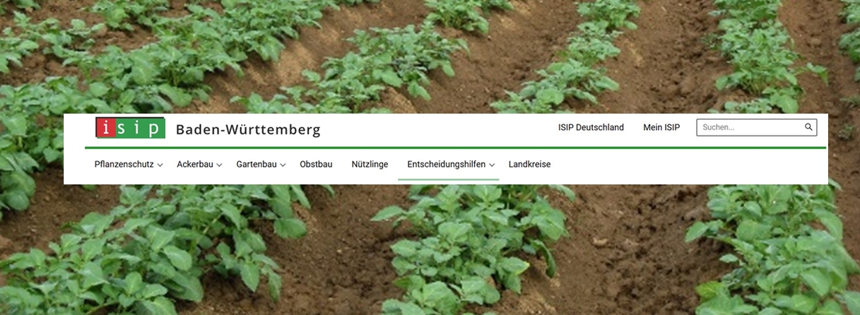 Banner ISIP-BW mit Kartoffelacker im Hintergrund
