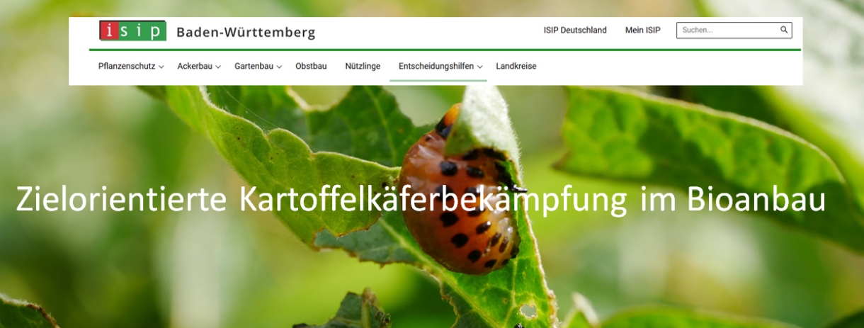 Plakat mit Schrifzug 