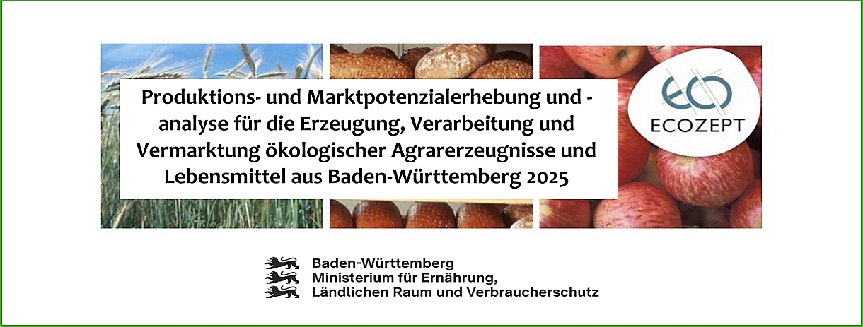 Flyer zur EVA-Bio-BW Studie 2025